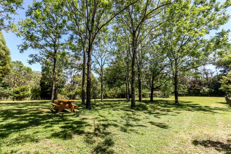 248 Surrey Hill Road Kaitake_10