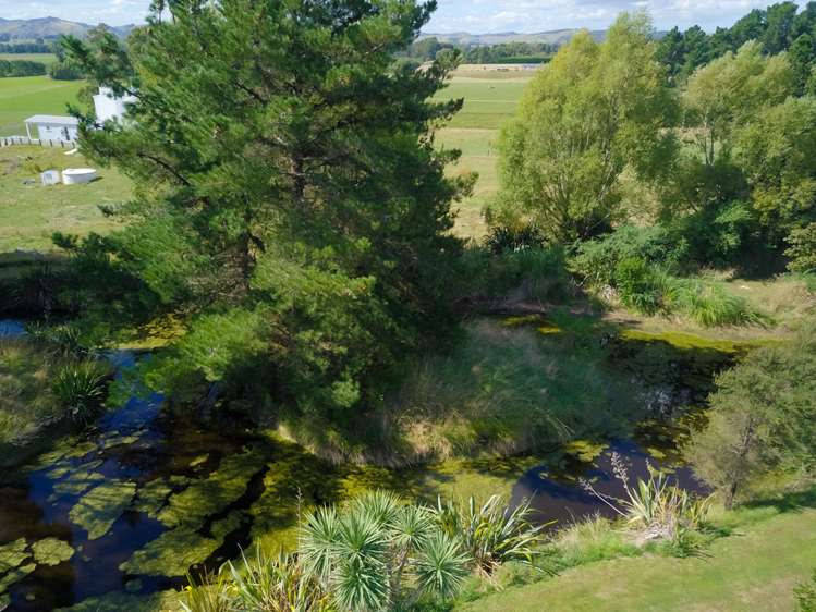 179 Lees Pakaraka Road Masterton_19