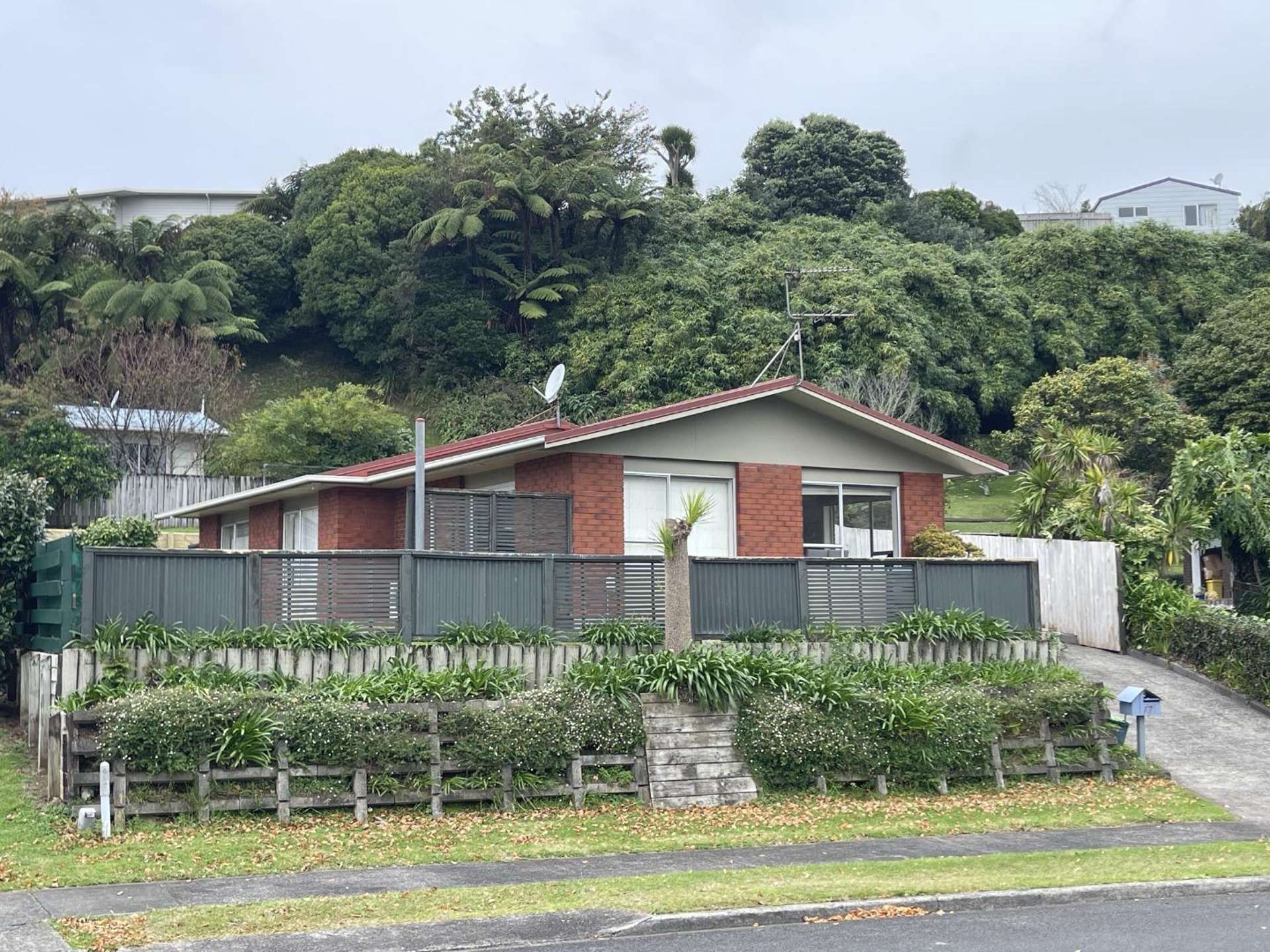 17 Heaphy Street 2169_0