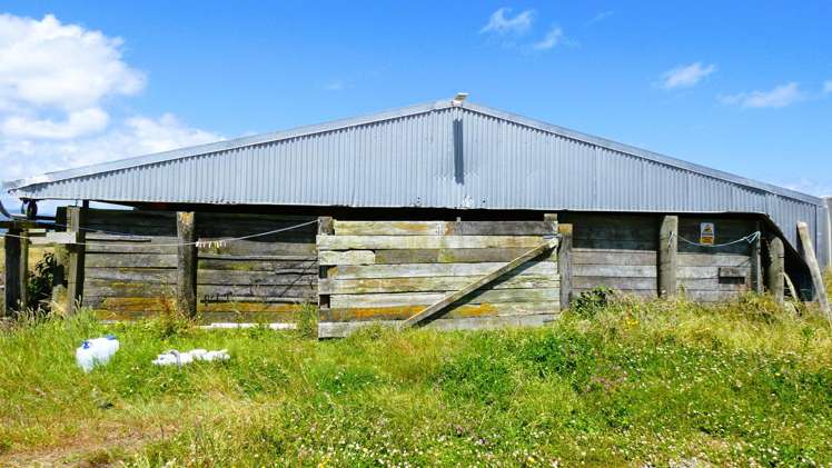 2/1054 Wilsons Lead Road Cape Foulwind_13