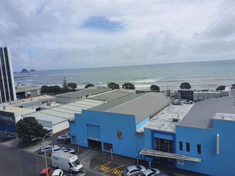 54 Gill Street New Plymouth City_14