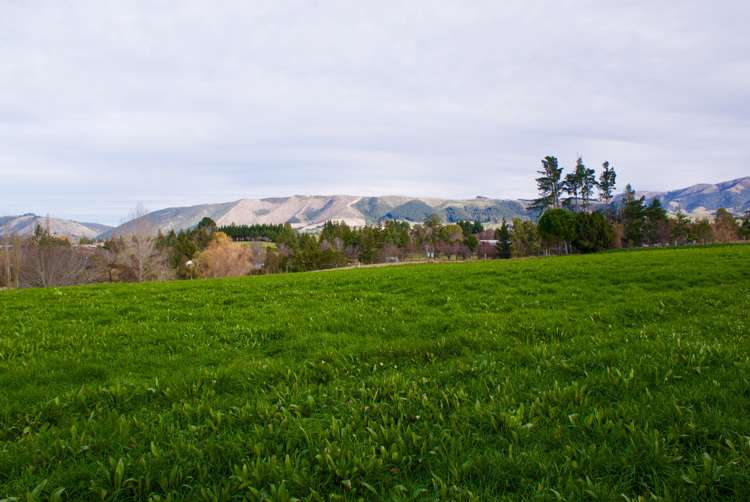 254 Maytown Road Waimate_6