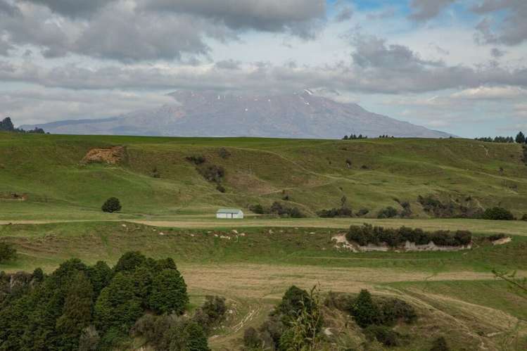 2491 State Highway 4 Owhango_5