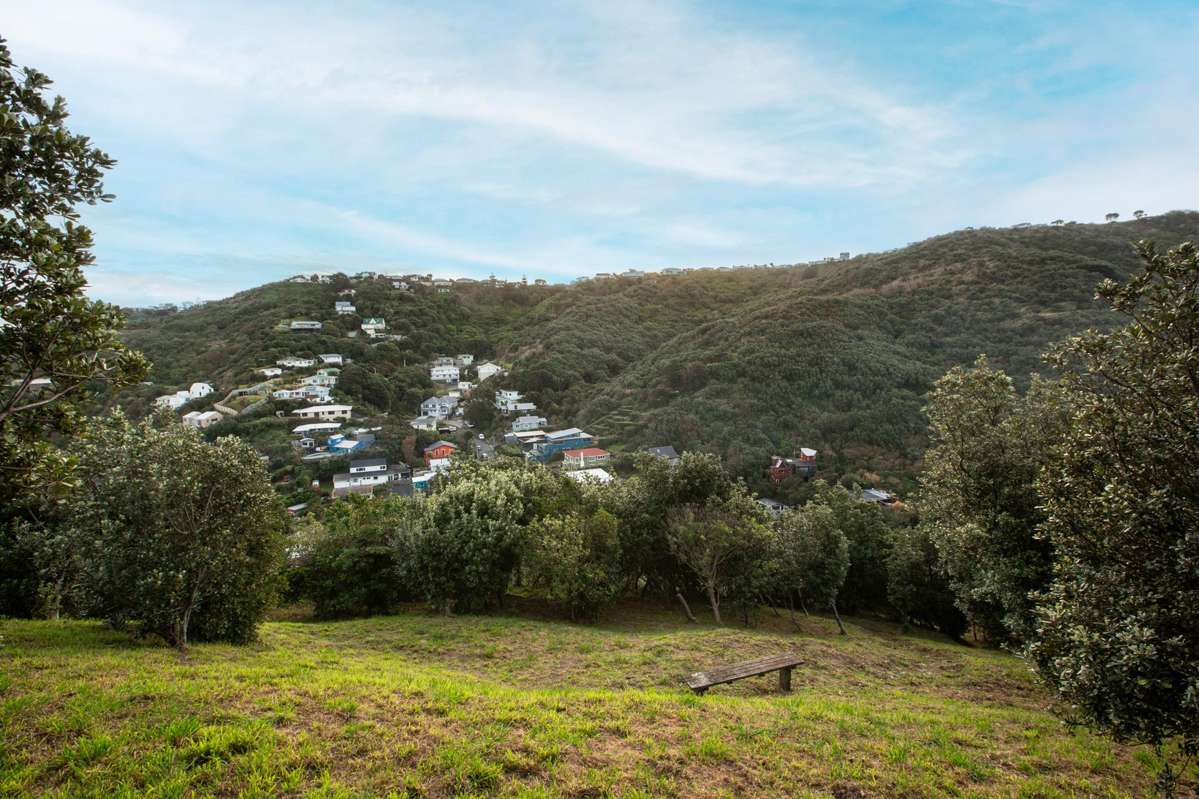239 Houghton Bay Road_1