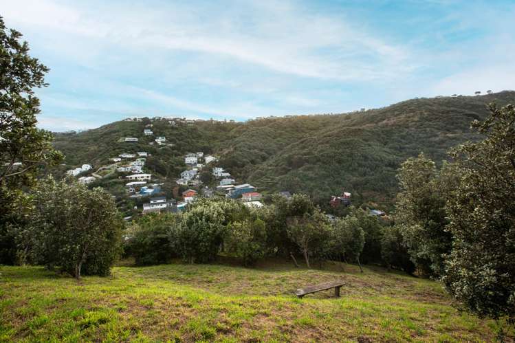 239 Houghton Bay Road Houghton Bay_5
