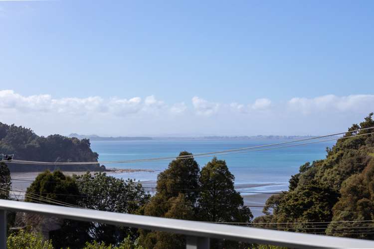 41 Laingholm Drive Laingholm_18