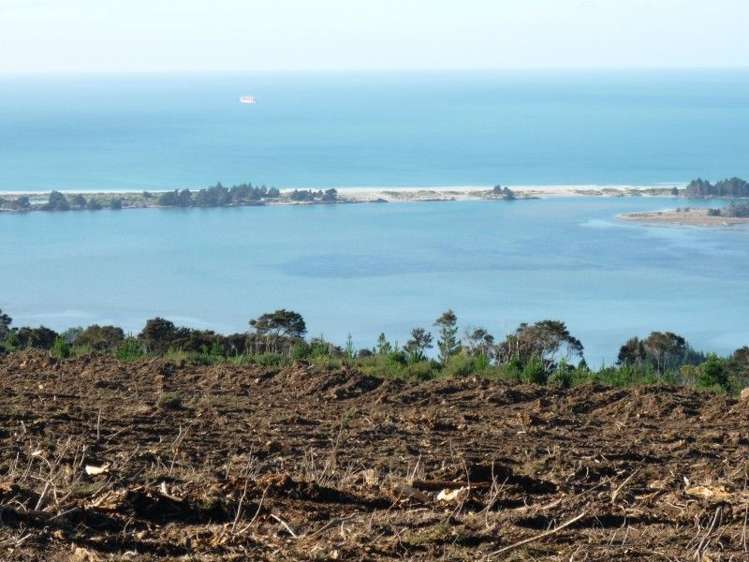 113 Wright Road Evansdale_9