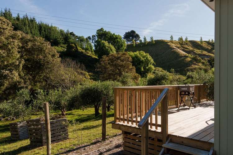 119 Shelley Road Whataupoko_6