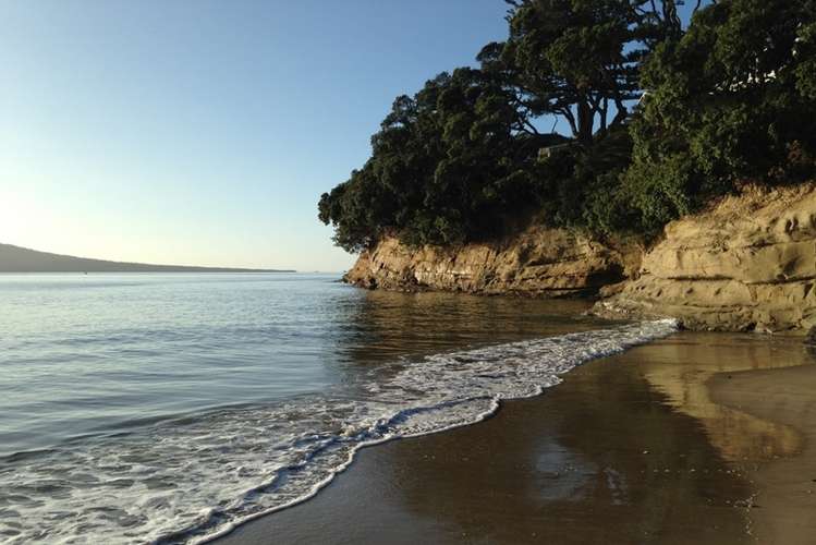 1/37 Hauraki Road Hauraki_10