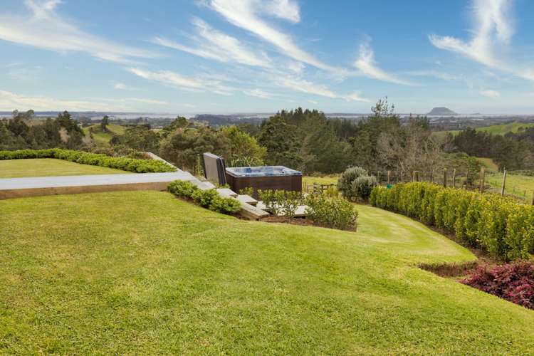 257F Whakamarama Road Whakamarama_31