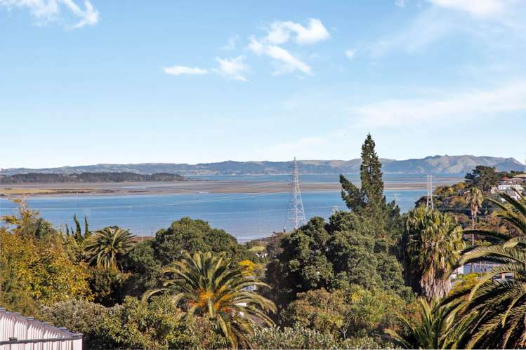 58 Quadrant Road Onehunga_29