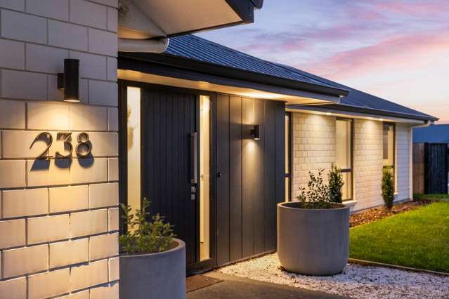 238 Taylor Pass Road Witherlea_4