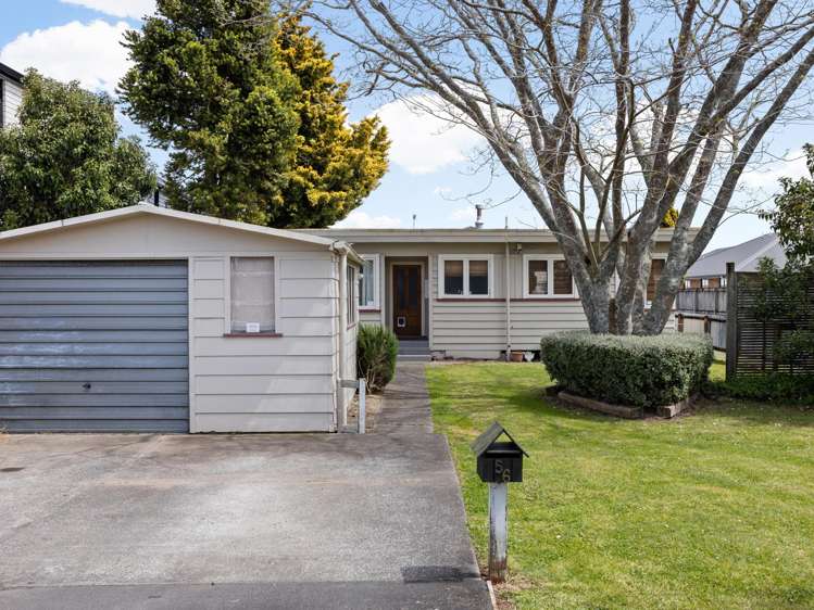 56 Campbell Street Frankton_0