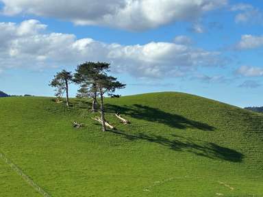 643 Whareora Road_4
