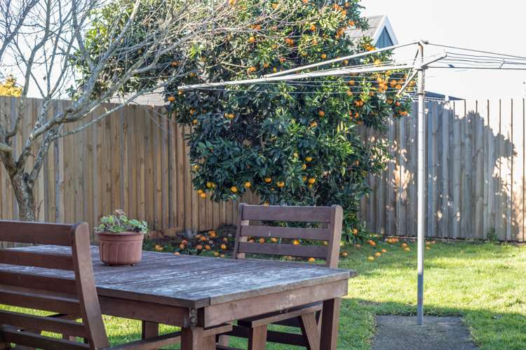 13 Rushton Road Morrinsville_15