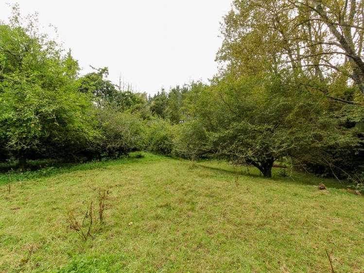 1059 Mountain Road Inglewood_8