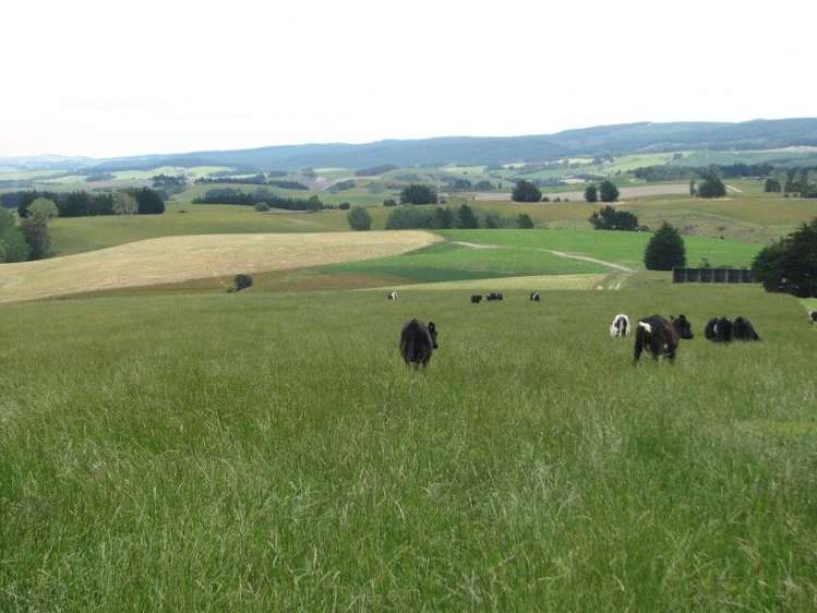 1463 Tuapeka West Road Lawrence_2