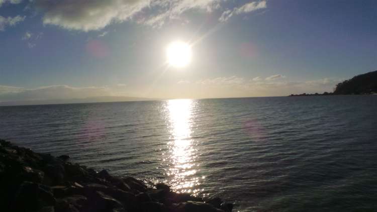 403 Fergusson Drive Thames_32