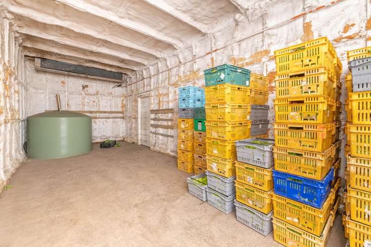 107 Ongare Point Road Katikati_17