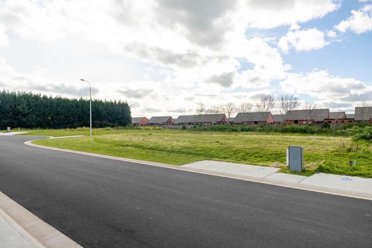 18 Rakau Lane Waikiwi_4