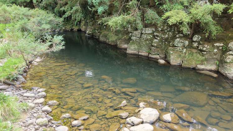 Lot 3/286 Mangakaretu Road Waipapa_18