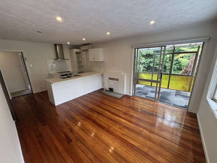 6 Kotuku Street Te Atatu Peninsula_0