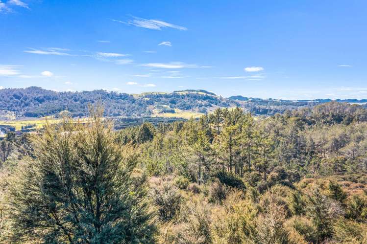 1409SH Tairua Whitianga Hwy Whitianga_31