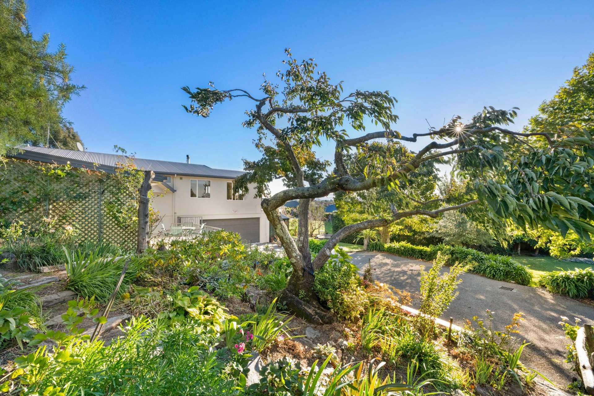 238 Howick Road Witherlea_0