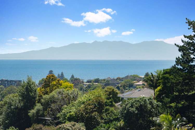 74D Langana Avenue Browns Bay_3