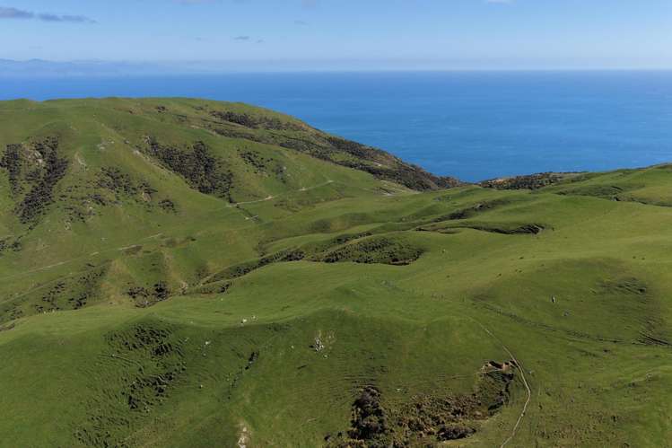 309 - 317 Boomrock Road Ohariu_22