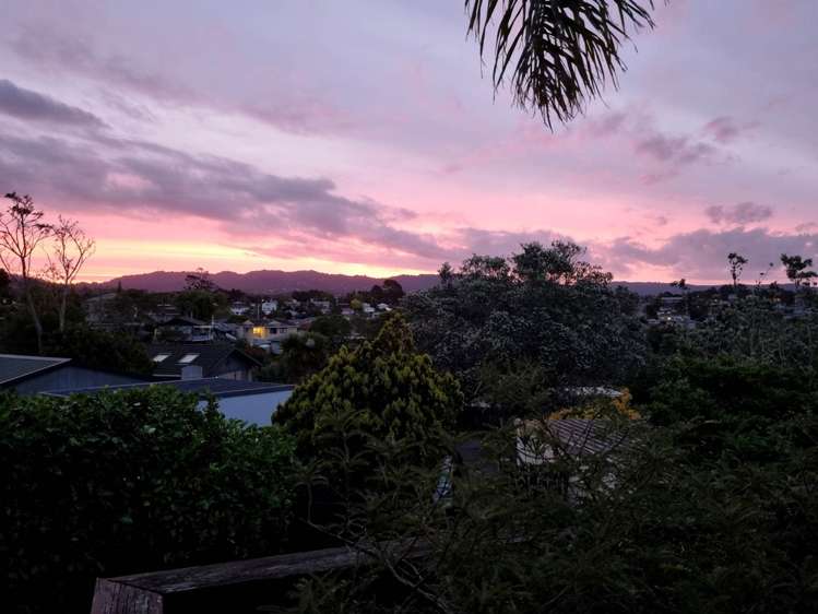 2/88 Sunvue Road Glen Eden_8