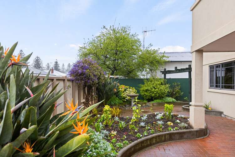 73a Waghorne Street Ahuriri_12