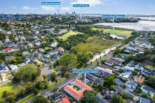 3/137 Portland Road Remuera_1