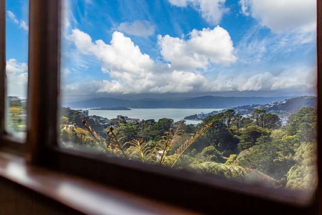 61 Mount Pleasant Road Aro Valley_4