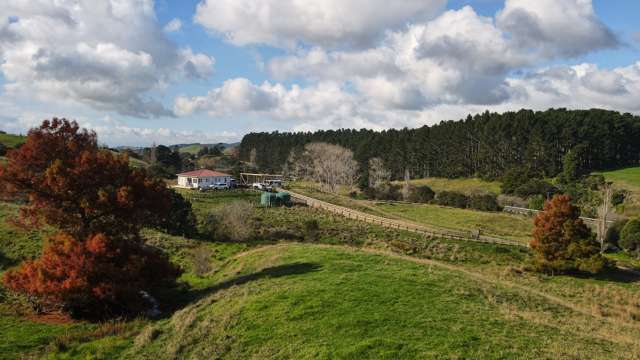 Lot 1 3315 State Highway 2 Waitakaruru_4