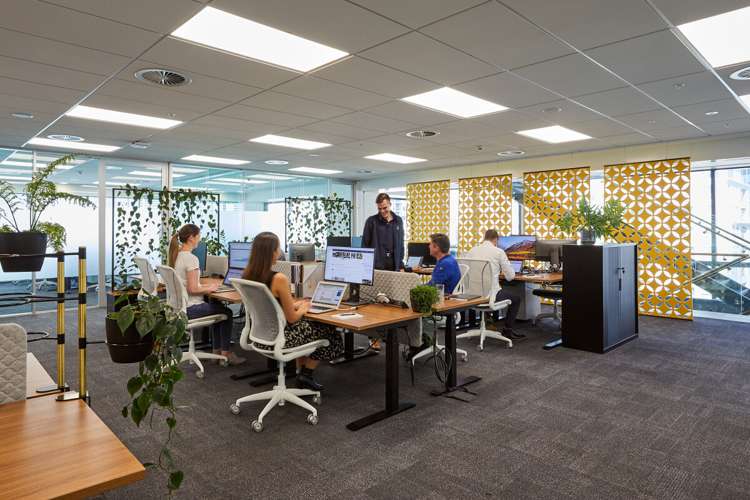 11 Britomart Place_0