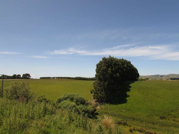 210 Terry Road Gore_0