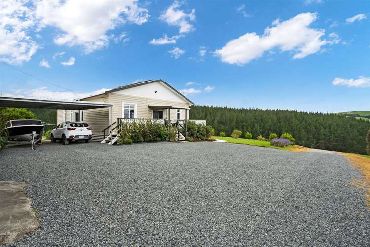 144 Moore Road Pipiwai_24