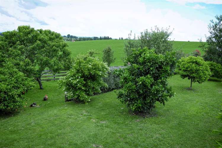 60 Main North Road Otorohanga_13