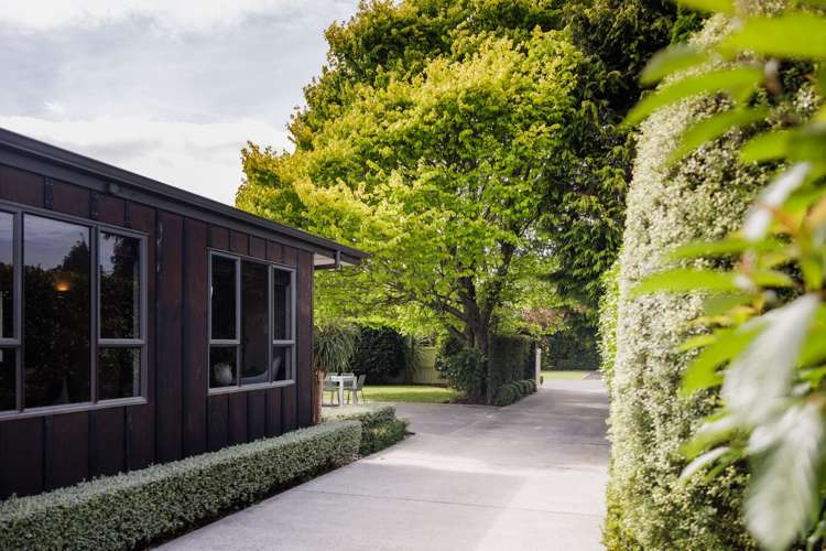 8 Bailey Avenue Claudelands_22