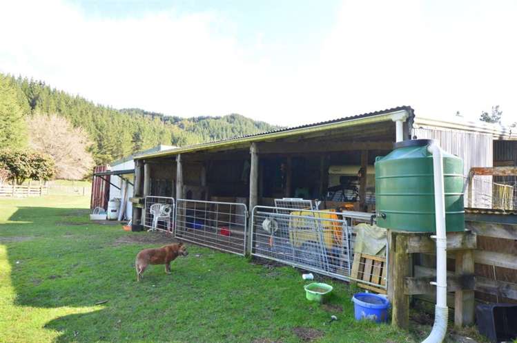 1513 Hikumutu Road Taumarunui_39