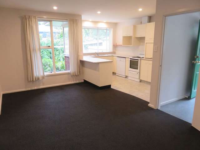 59 Middleton Road Upper Riccarton_3