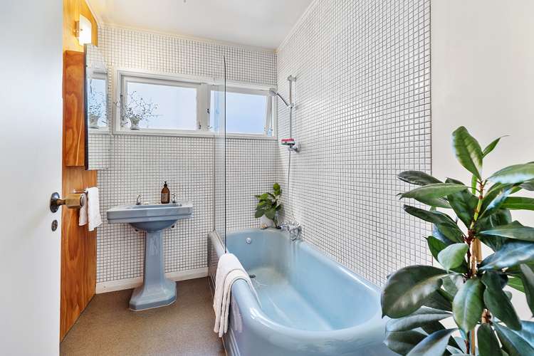 31 Aro Street Aro Valley_11