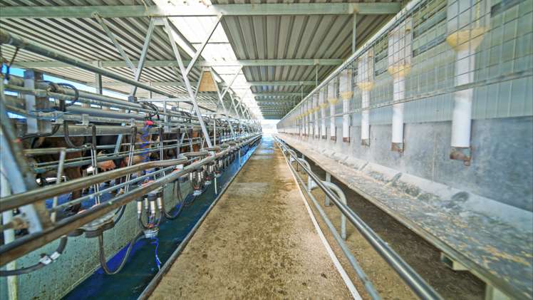 120 Steward Road Richmond_9