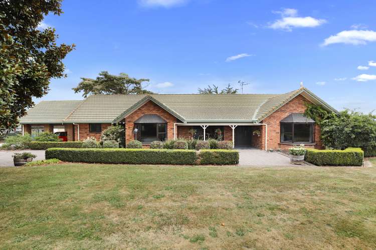 304 Cussen Road Morrinsville_3