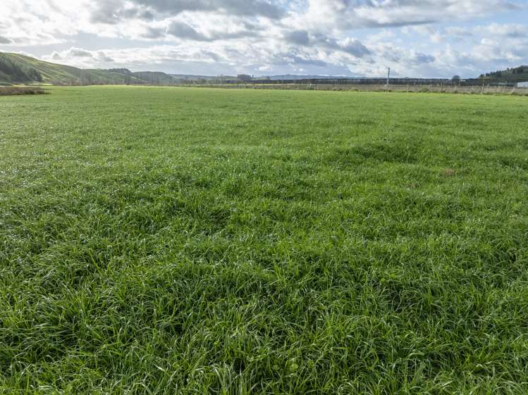 Pirau Road Fernhill_3