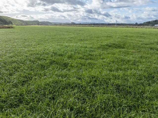 Pirau Road Fernhill_3