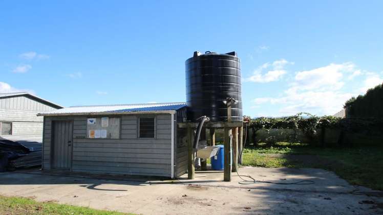 191 Gow Road Edgecumbe_5