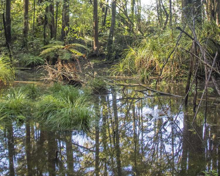 729 Otaika Valley Road Maungatapere_12