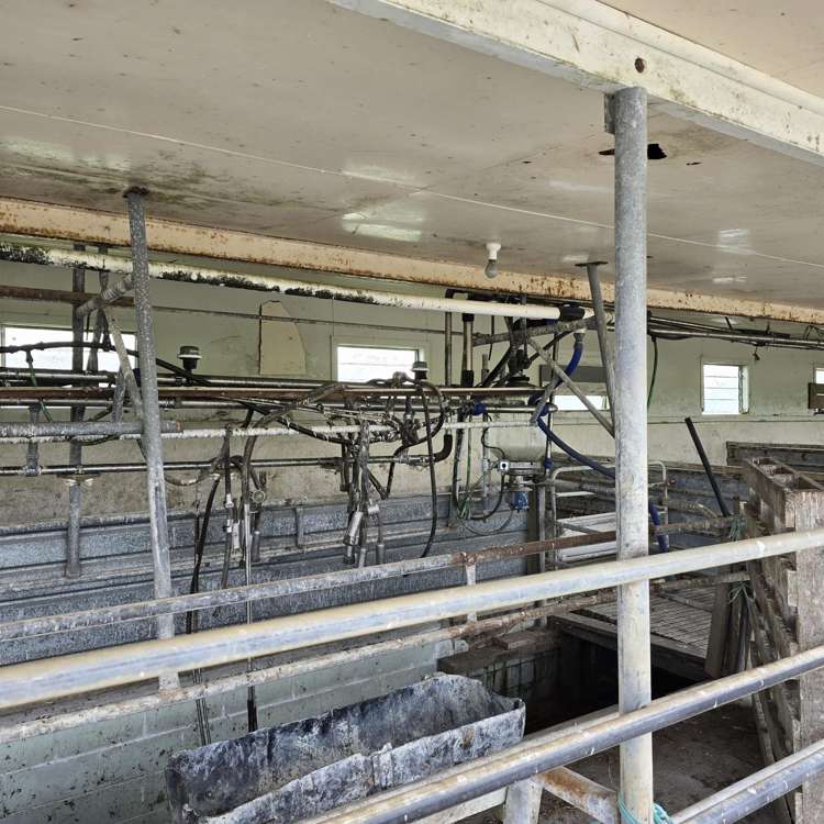 146 Victoria Road Stratford_7